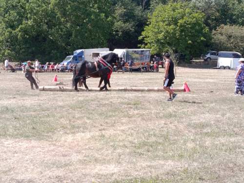 IMG_20260808_140211